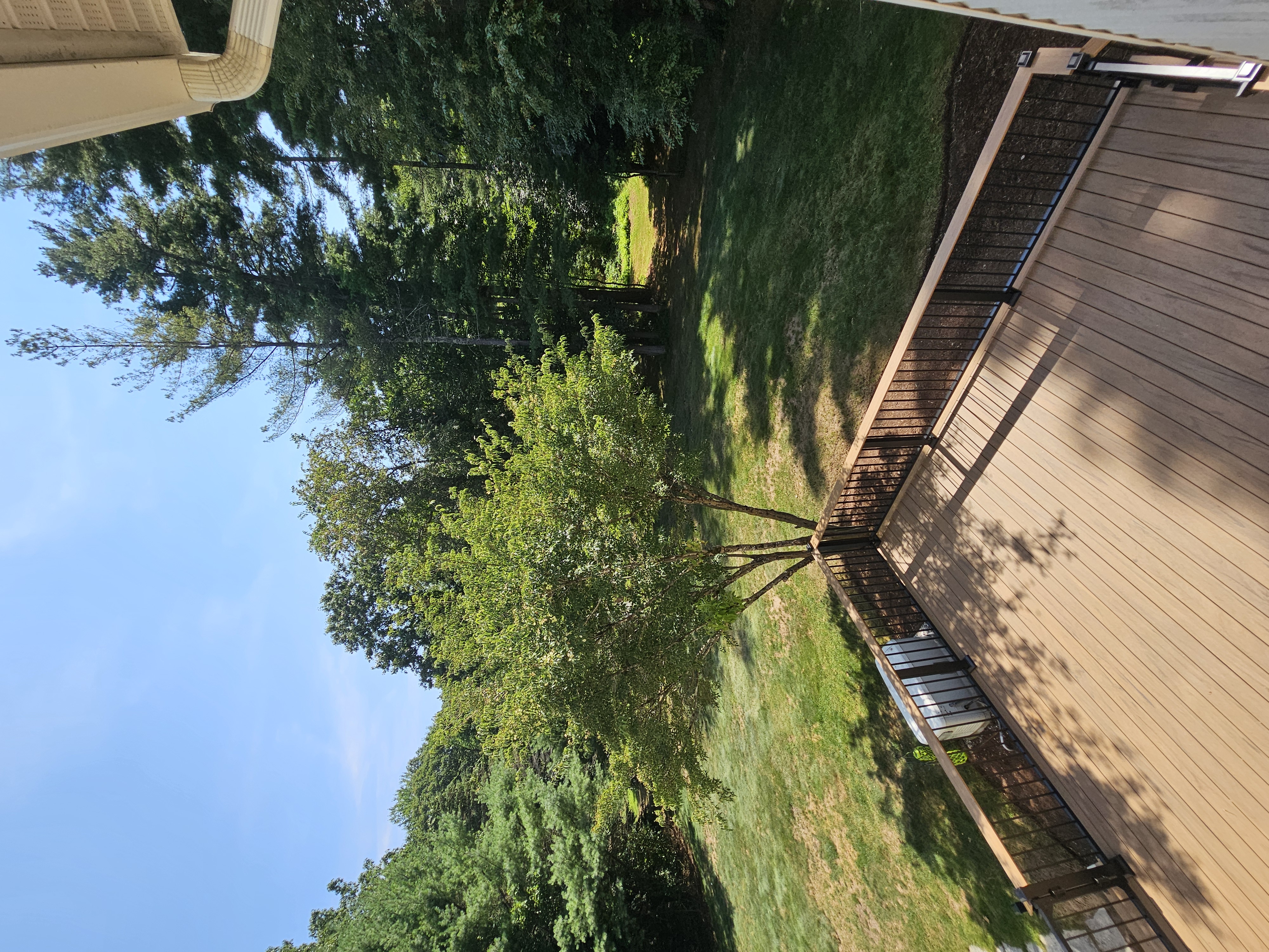 Quality deck construction with professional-grade materials